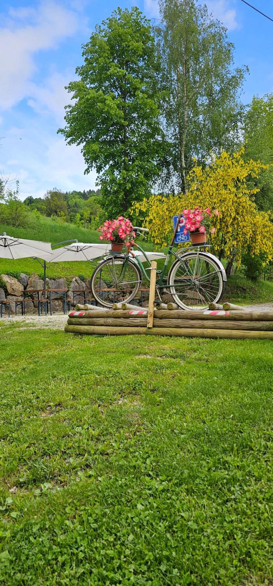 Rifugio Fornas Hotel Толмецо Екстериор снимка
